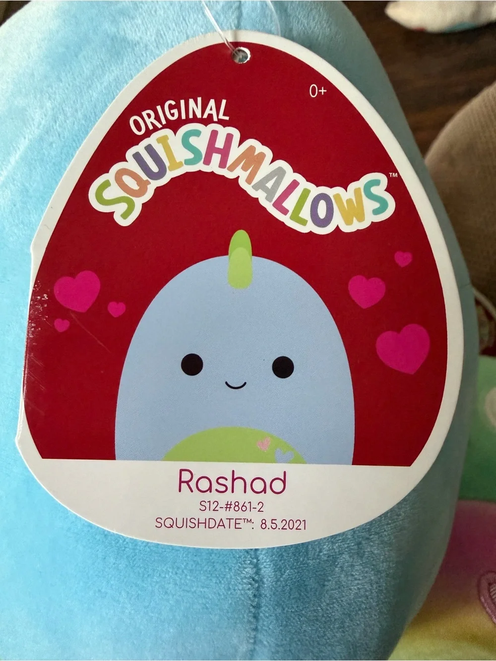 Rashad the Dinosaur Squishmallow with hearts